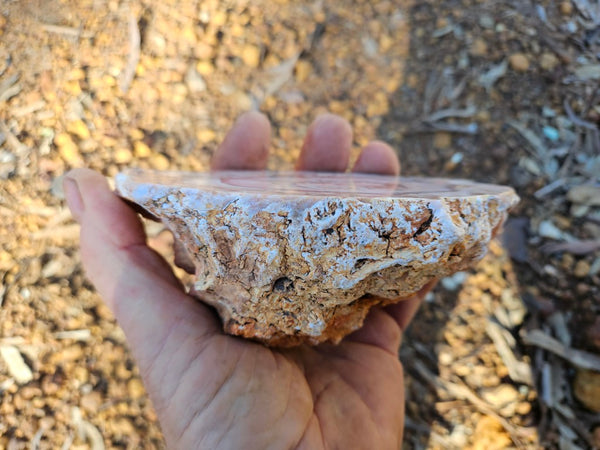 Polished Pilbara Agate PA291