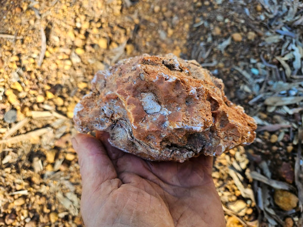 Polished Pilbara Agate PA291