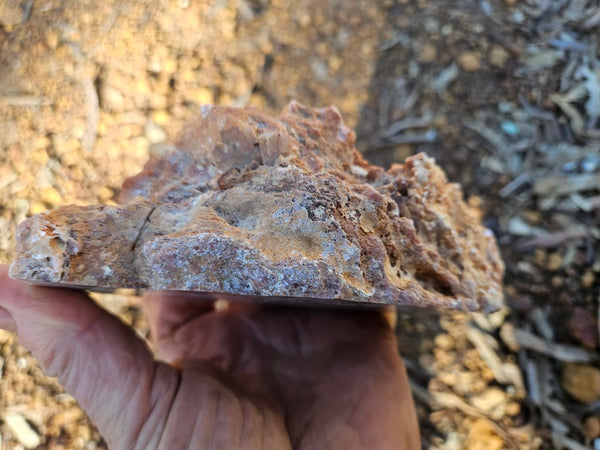 Polished Pilbara Agate PA291