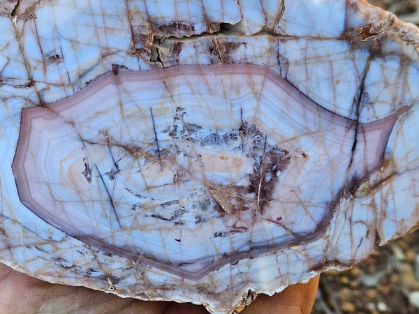 Polished Pilbara Agate PA291