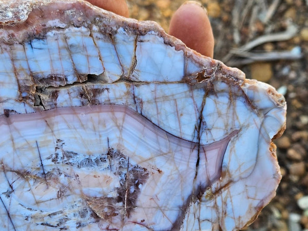 Polished Pilbara Agate PA291