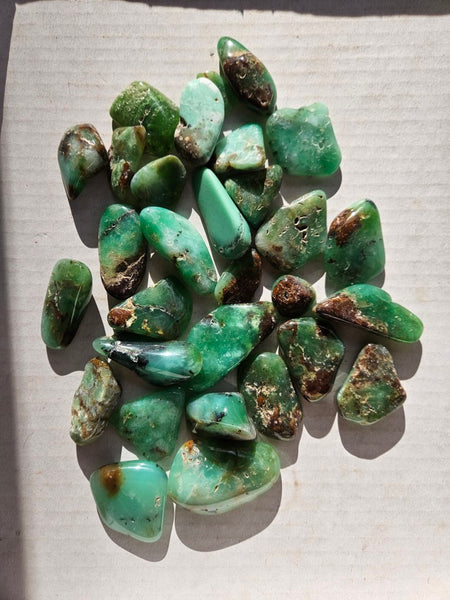 Tumble Polished Chrysoprase CHT173