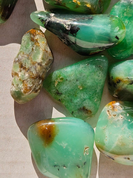 Tumble Polished Chrysoprase CHT173