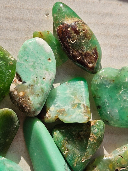 Tumble Polished Chrysoprase CHT173