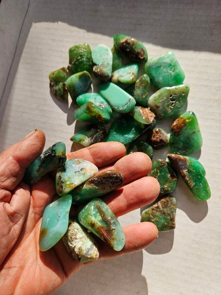 Tumble Polished Chrysoprase CHT173