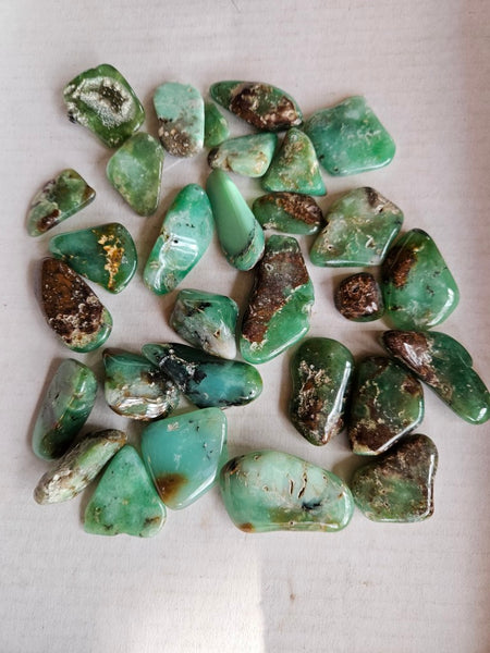 Tumble Polished Chrysoprase CHT173