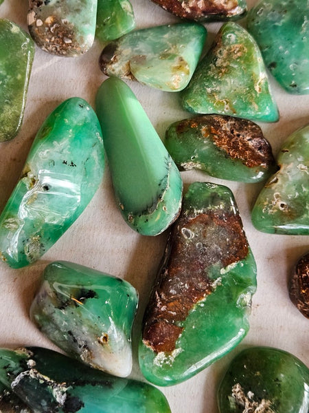 Tumble Polished Chrysoprase CHT173
