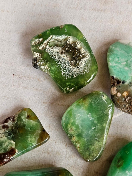 Tumble Polished Chrysoprase CHT173