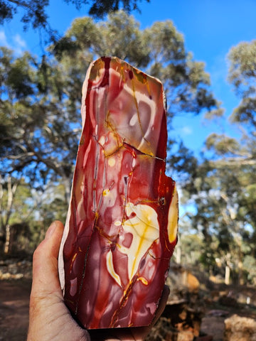 Polished Mookaite display specimen MK605
