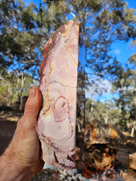 Polished Mookaite display specimen MK605