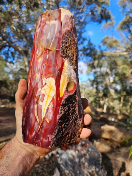 Polished Mookaite display specimen MK605