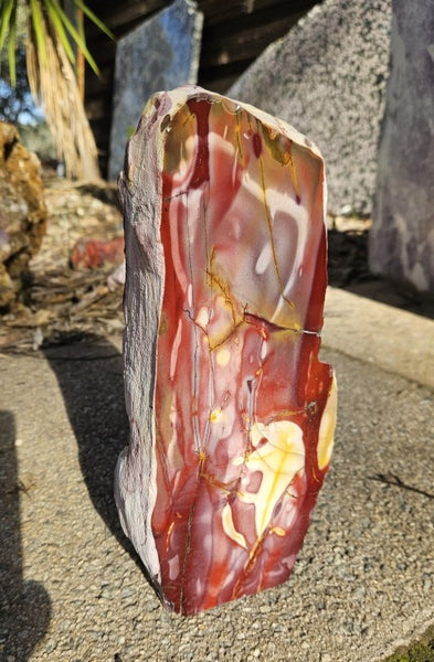 Polished Mookaite display specimen MK605