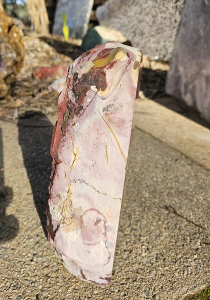 Polished Mookaite display specimen MK605