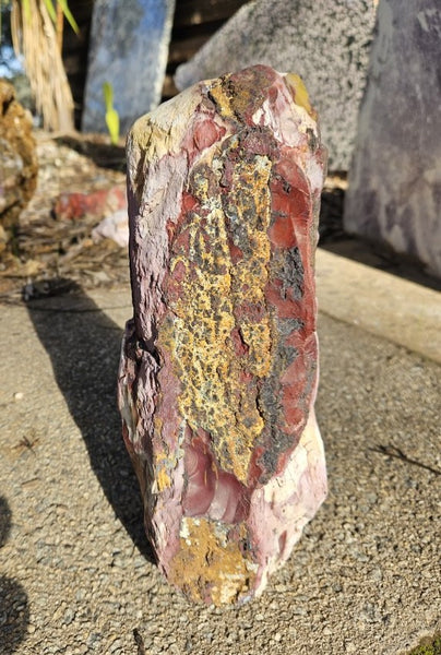 Polished Mookaite display specimen MK605