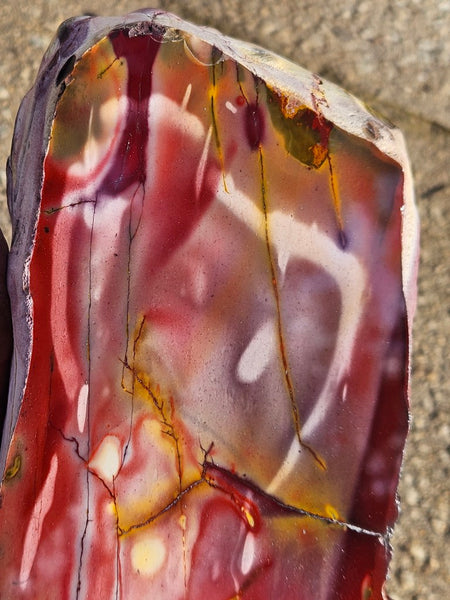 Polished Mookaite display specimen MK605