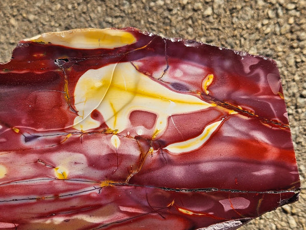 Polished Mookaite display specimen MK605
