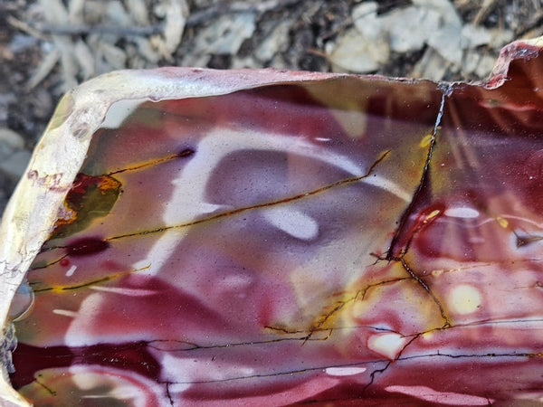 Polished Mookaite display specimen MK605