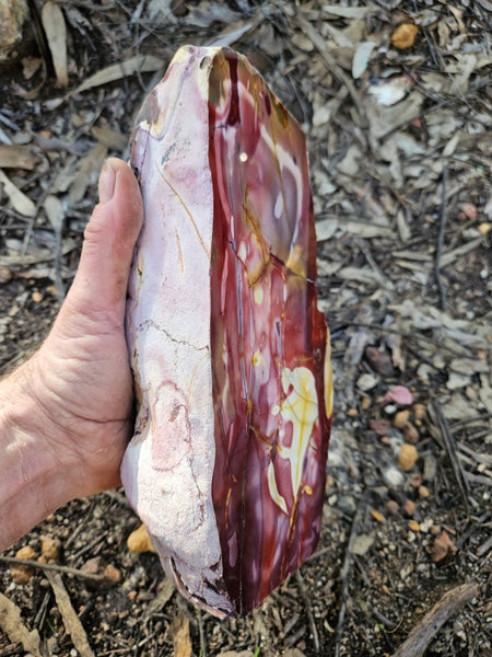Polished Mookaite display specimen MK605