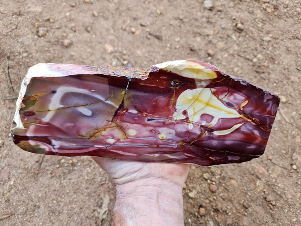 Polished Mookaite display specimen MK605