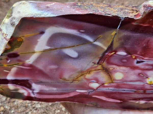 Polished Mookaite display specimen MK605