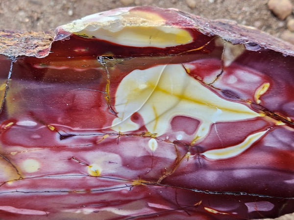 Polished Mookaite display specimen MK605