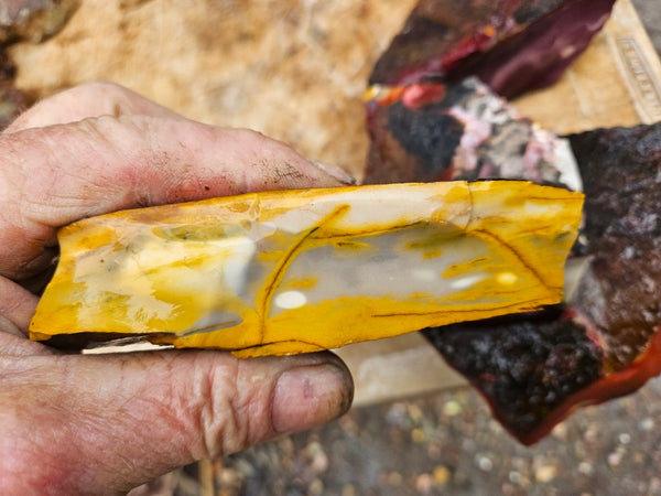 Mookaite rough.  MKR 307