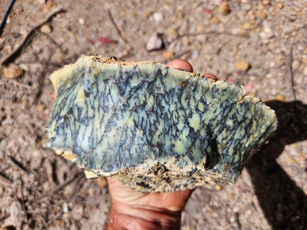 Dendritic Opal  rough.  DOR285