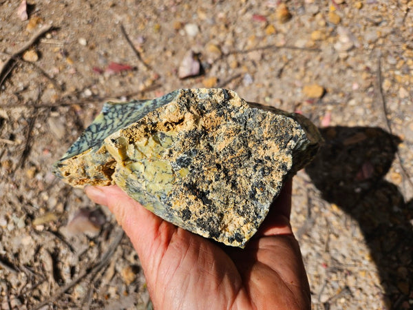 Dendritic Opal  rough.  DOR285