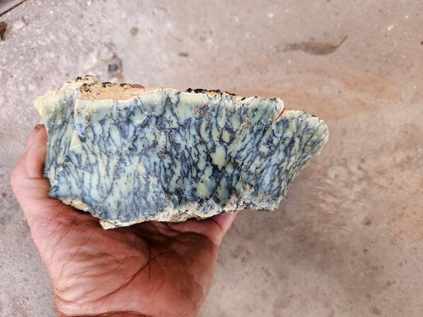 Dendritic Opal  rough.  DOR285
