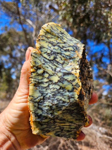 Dendritic Opal  rough.  DOR285