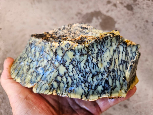 Dendritic Opal  rough.  DOR285