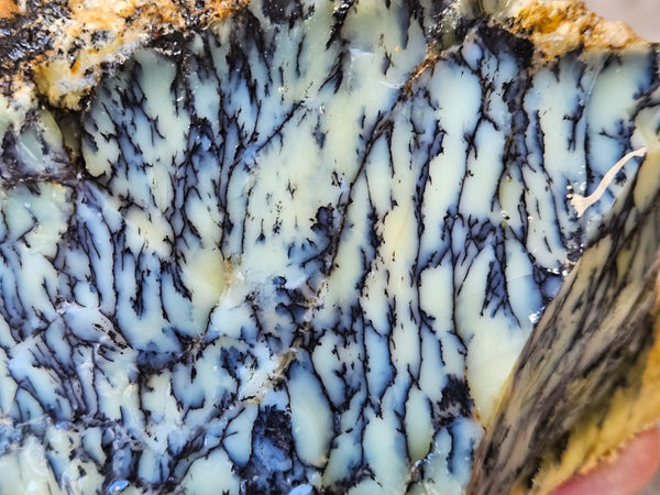 Dendritic Opal  rough.  DOR285