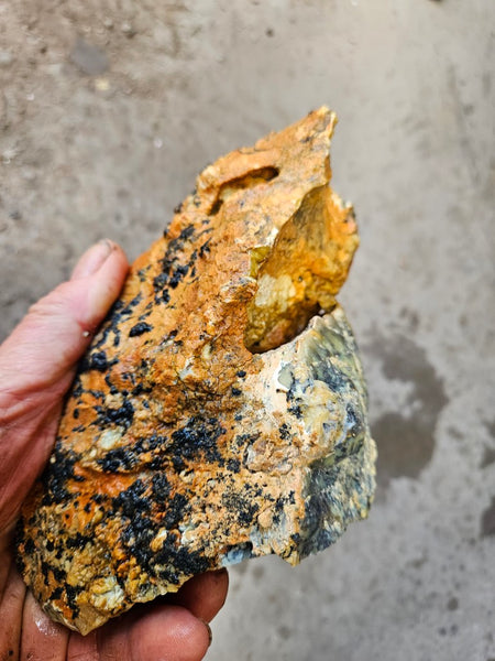Dendritic Opal  rough.  DOR285