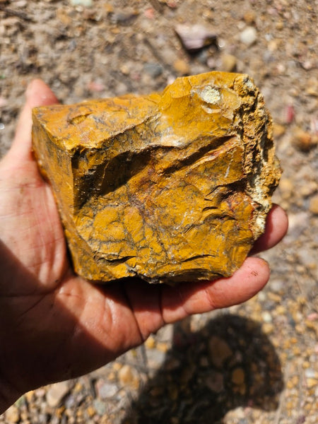 Dendritic Opal  rough.  DOR283