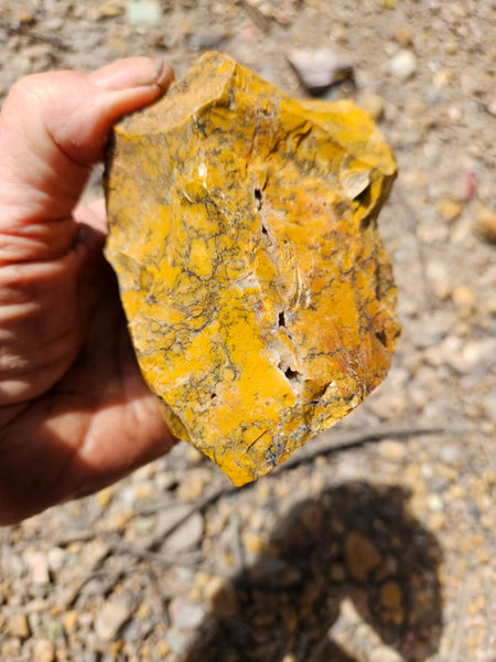 Dendritic Opal  rough.  DOR283