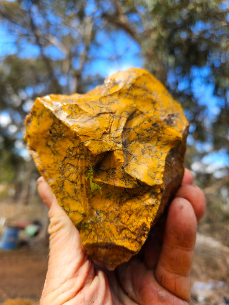 Dendritic Opal  rough.  DOR283