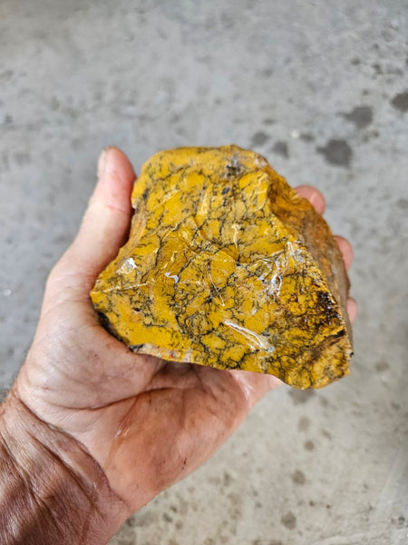 Dendritic Opal  rough.  DOR283