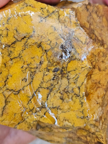 Dendritic Opal  rough.  DOR283