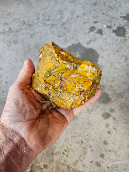 Dendritic Opal  rough.  DOR283
