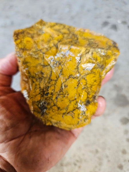 Dendritic Opal  rough.  DOR283
