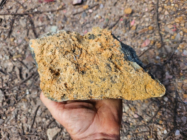 Dendritic Opal  rough.  DOR284