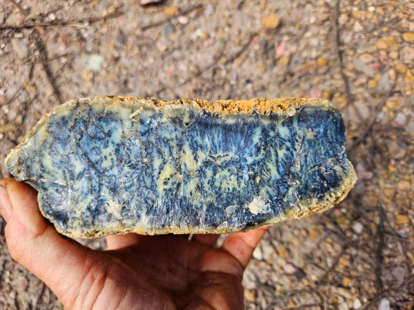 Dendritic Opal  rough.  DOR284