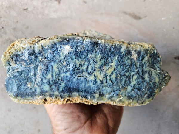Dendritic Opal  rough.  DOR284