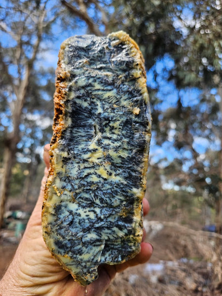 Dendritic Opal  rough.  DOR284