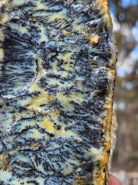 Dendritic Opal  rough.  DOR284