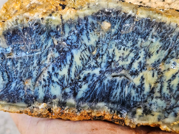 Dendritic Opal  rough.  DOR284