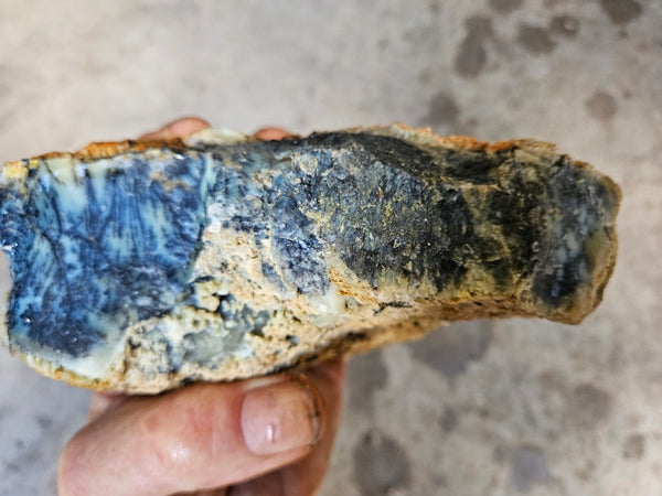 Dendritic Opal  rough.  DOR284