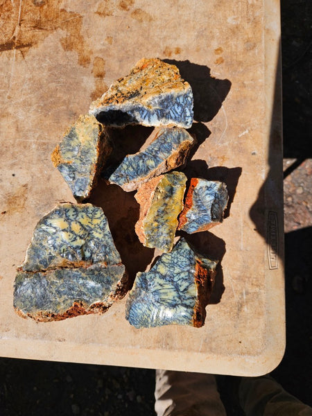 Dendritic Opal  rough.  DOR282