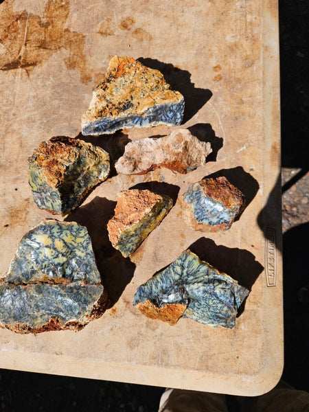 Dendritic Opal  rough.  DOR282