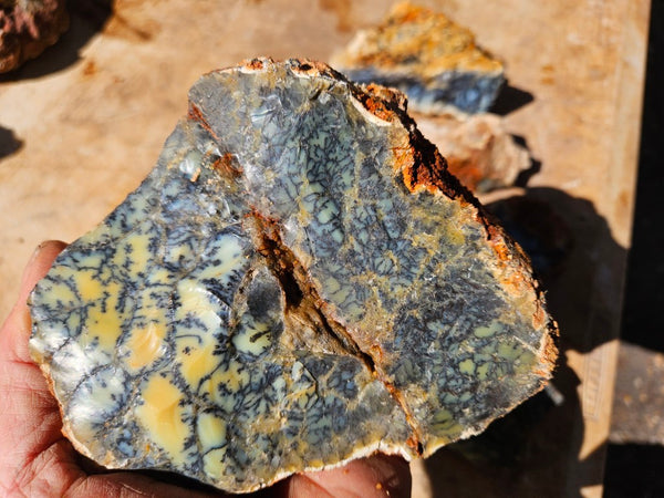 Dendritic Opal  rough.  DOR282